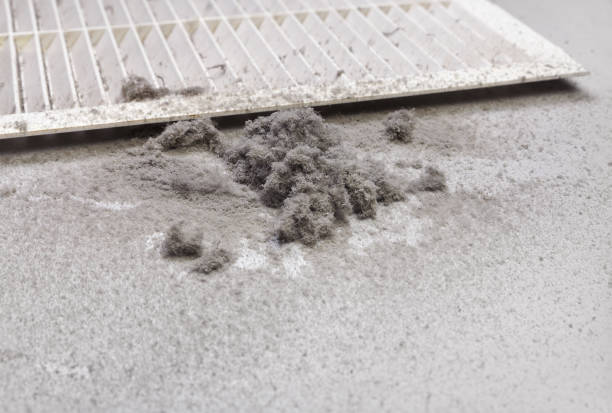 Professional Airduct Cleaning in GA