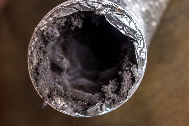 Best Affordable HVAC Duct Cleaning  in Forest Park, GA